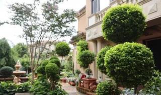 棒棒糖视频在线观看免费 棒棒糖视频在线观看免费