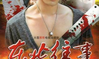 东北往事黑道风云第二部 东北往事黑道风云第二部