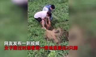 我要去放羊幽默句子 我是放羊的经常日羊 我要去放羊幽默句子 我是放羊的经常日羊