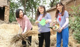 我是妈妈短剧全集免费观看