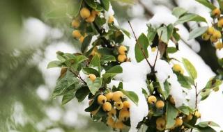 全国多地迎入秋后首场降雪 全国多地迎入秋后首场降雪