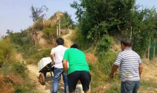 十年树木百年树人是谁说的 十年树木百年树人是谁说的