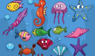 幼儿园海底世界图片 幼儿园海底世界图片