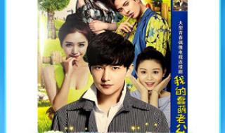 我的蠢萌老公电视剧 我的蠢萌老公电视剧