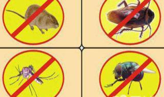 四害消杀服务报价单 四害消杀服务报价单