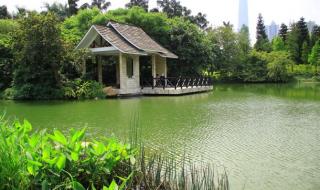 广州有哪些好玩的地方 广州有哪些好玩的地方