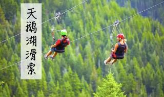 深圳有蹦极的地方吗 深圳有蹦极的地方吗